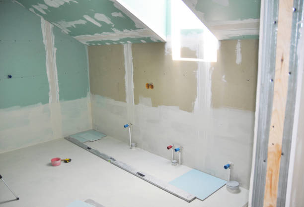 Best Water Damage & Mold Remediation  in David City, NE