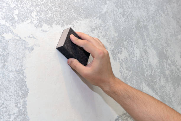 Best Mold Odor Removal Services  in David City, NE