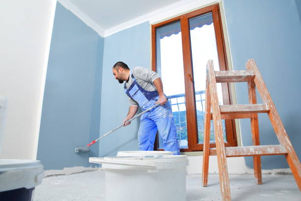 Best Biohazard Mold Removal  in David City, NE