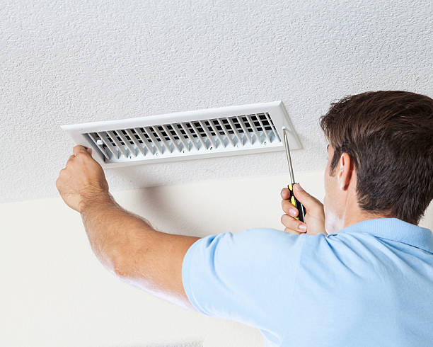 Best Real Estate Mold Inspection  in David City, NE