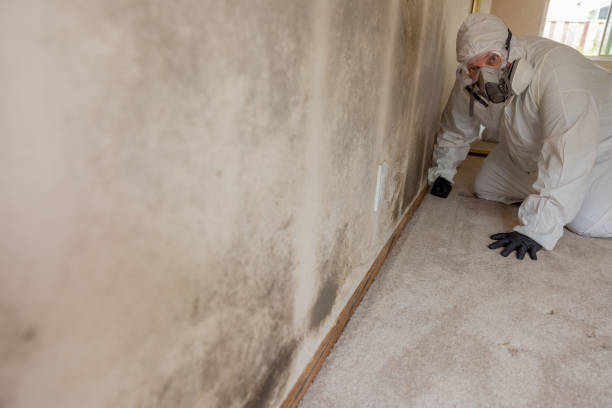 Best Air Quality Testing for Mold Spores  in David City, NE