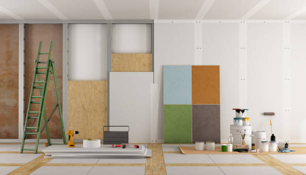Best Attic Mold Removal  in David City, NE