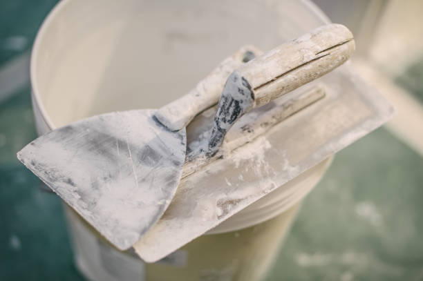 Best Mold Remediation for Healthcare Facilities  in David City, NE
